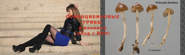 дурь Абдулино