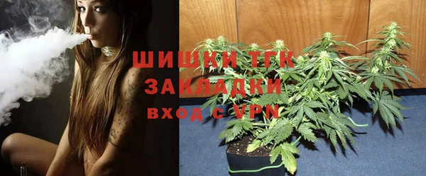 молекула духа Абинск